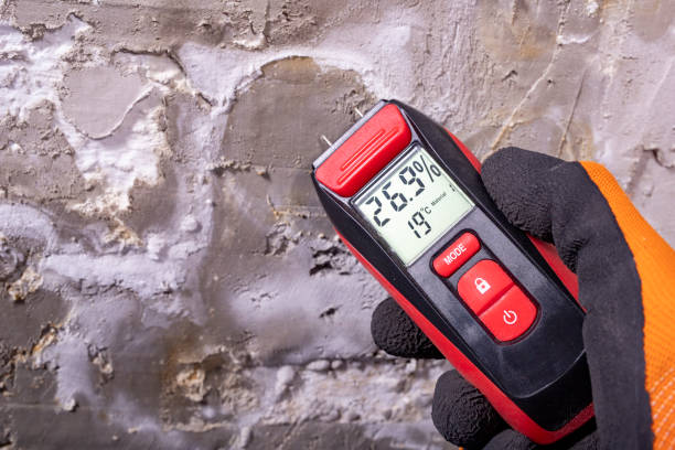 Best Mold Remediation  in Marion, IN