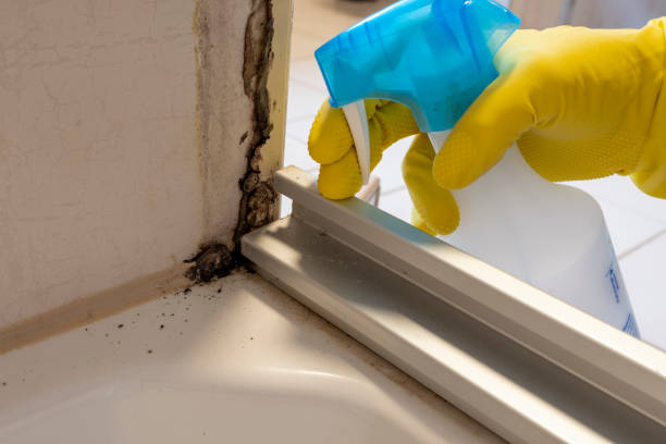 Crawl Space Mold Removal in Marion, IN