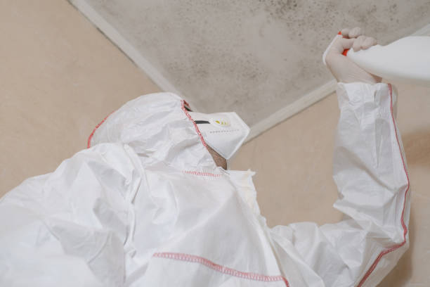 Best Mold Testing  in Marion, IN